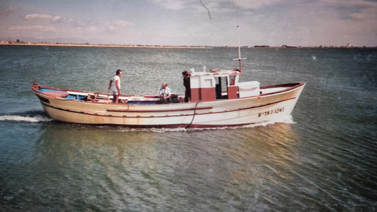 Imagen de Capitol 5 - 1987